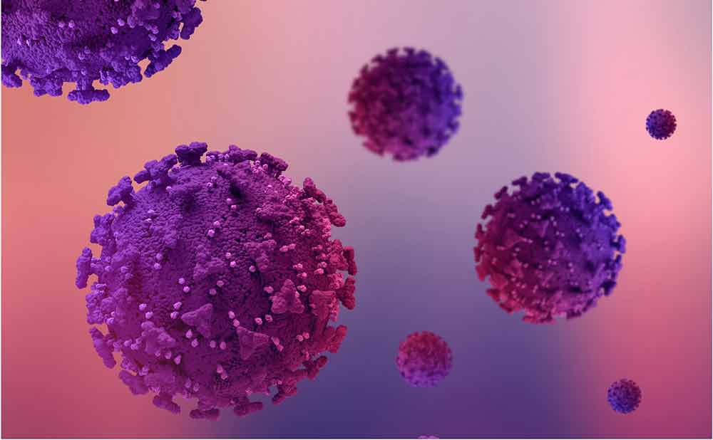 Human Papillomavirus