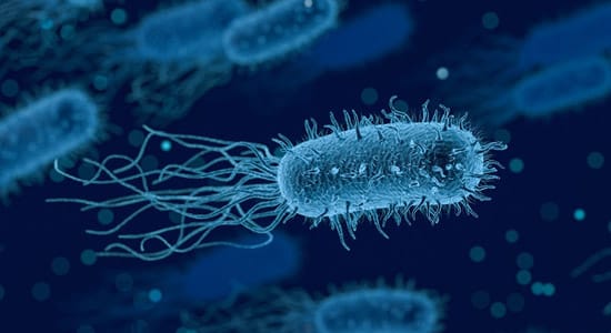 AUN Therapy: Revolutionary Bacterial Treatment Destroys Cancer Without the Immune System