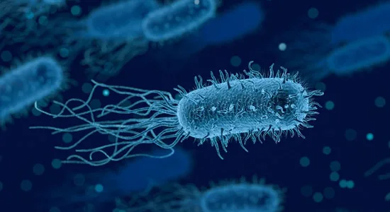 AUN Therapy: Revolutionary Bacterial Treatment Destroys Cancer Without the Immune System